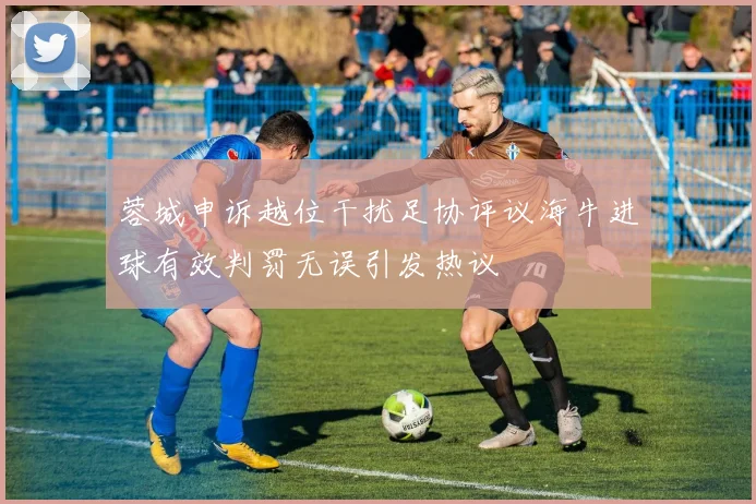 蓉城申诉越位干扰足协评议海牛进球有效判罚无误引发热议