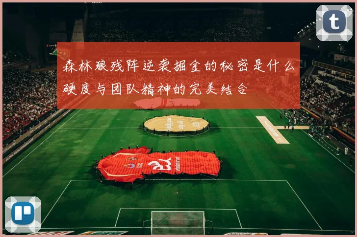森林狼残阵逆袭掘金的秘密是什么硬度与团队精神的完美结合