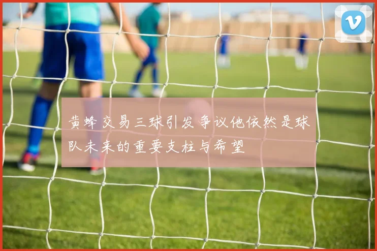 黄蜂交易三球引发争议他依然是球队未来的重要支柱与希望