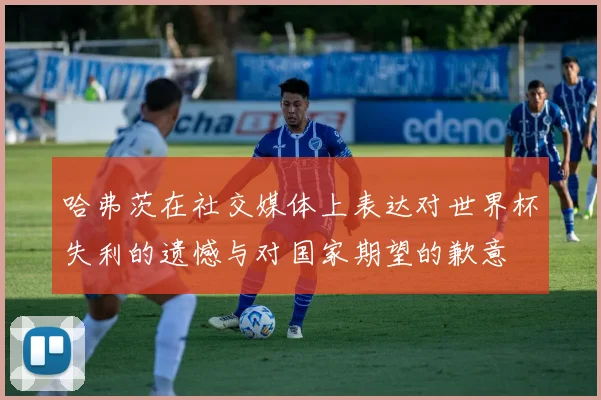 哈弗茨在社交媒体上表达对世界杯失利的遗憾与对国家期望的歉意